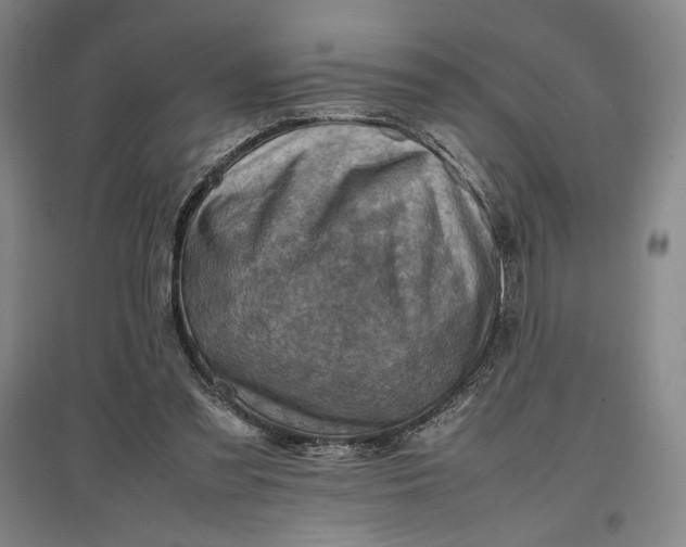 X0000096940301200802221326