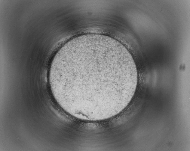 X0000096940302200802221326