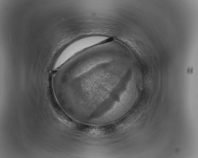 X0000096940303200802221326