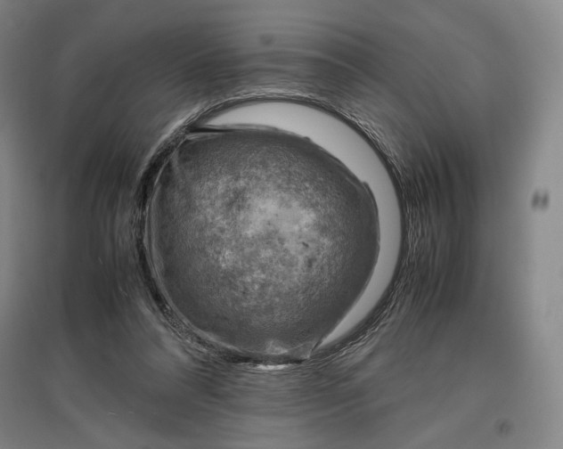 X0000096940304200802221326