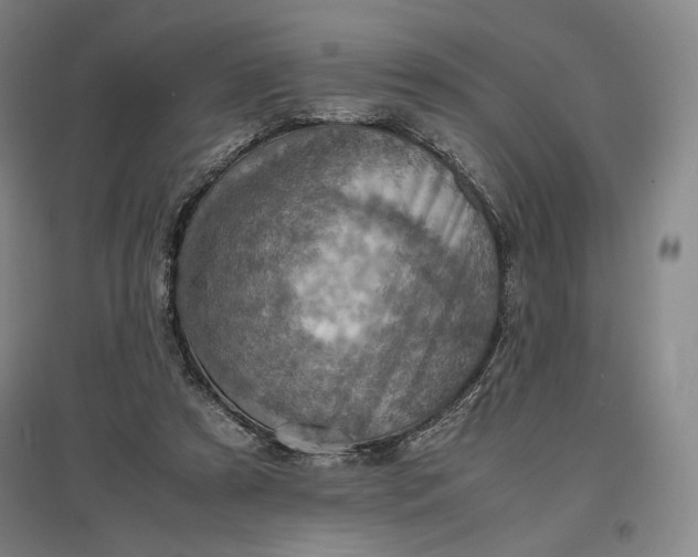 X0000096940305200802221326