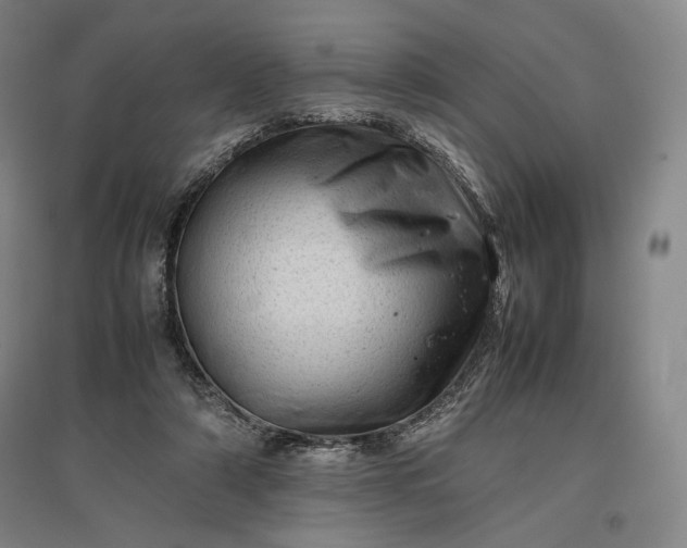 X0000096940306200802221326