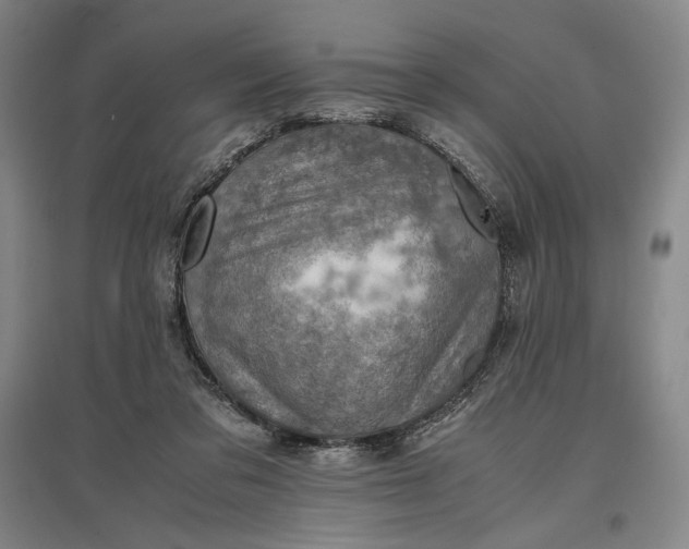 X0000096940309200802221326