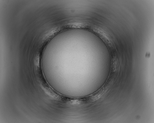 X0000096940310200802221326