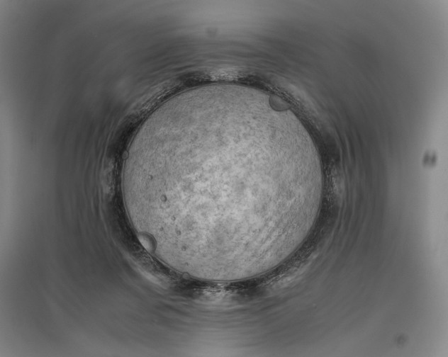 X0000096940311200802221326