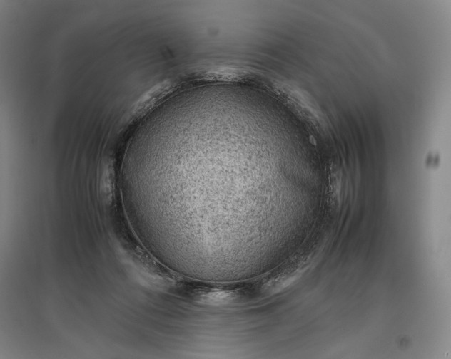 X0000096940312200802221326