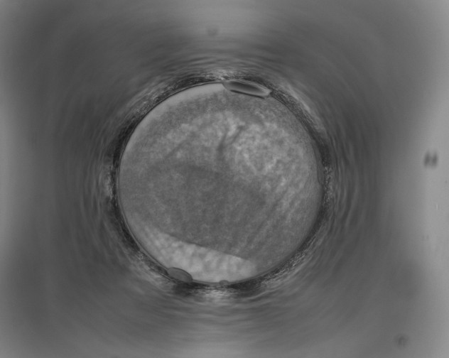 X0000096940313200802221326