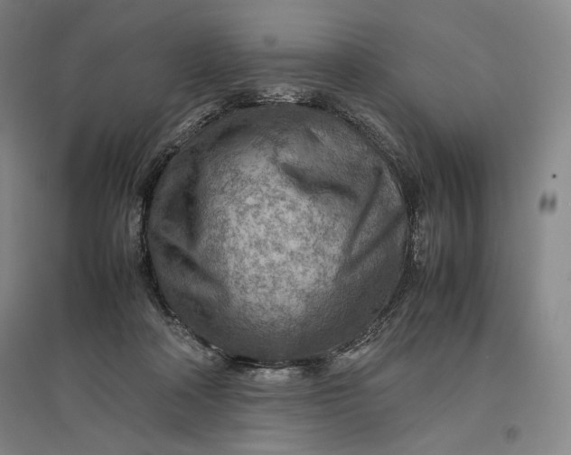 X0000096940314200802221326