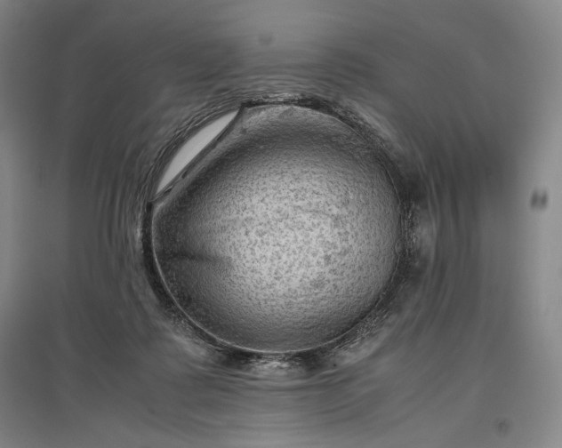 X0000096940315200802221326