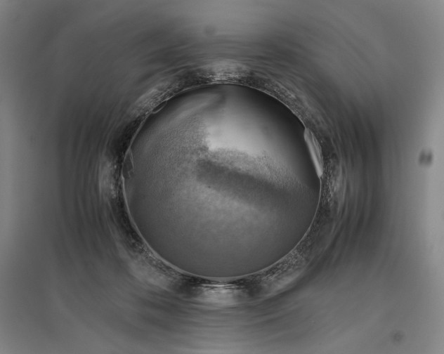 X0000096940316200802221326