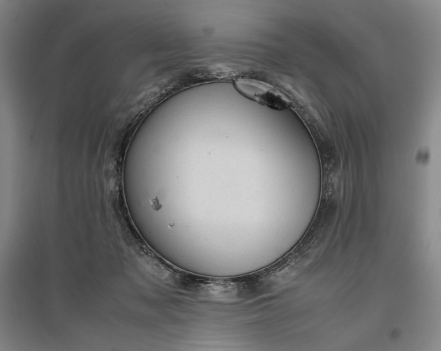 X0000096940317200802221326