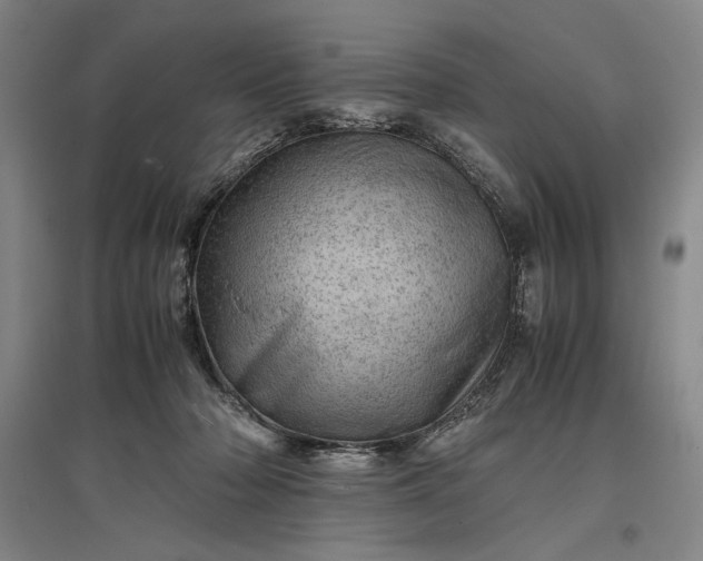 X0000096940318200802221326