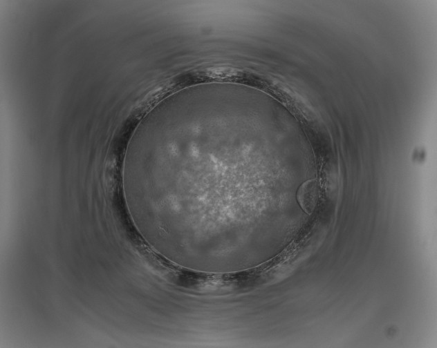 X0000096940319200802221326