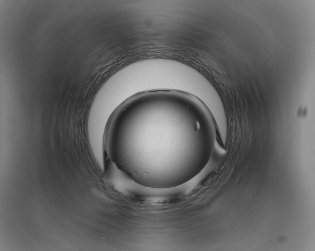 X0000096940320200802221326