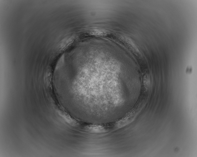 X0000096940322200802221326