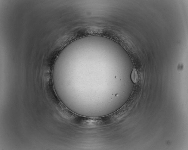 X0000096940323200802221326