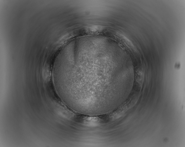 X0000096940324200802221326