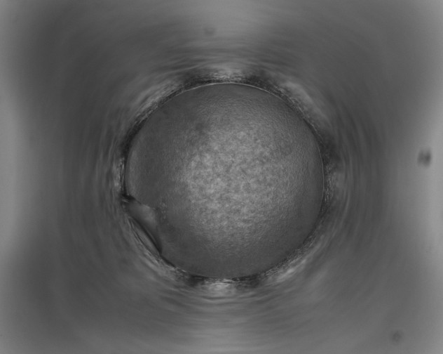 X0000096940325200802221326