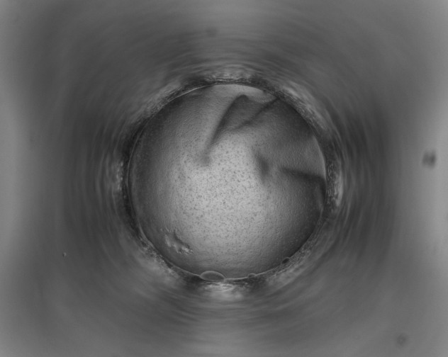 X0000096940326200802221326