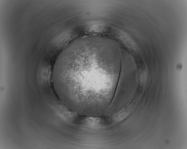 X0000096940328200802221326