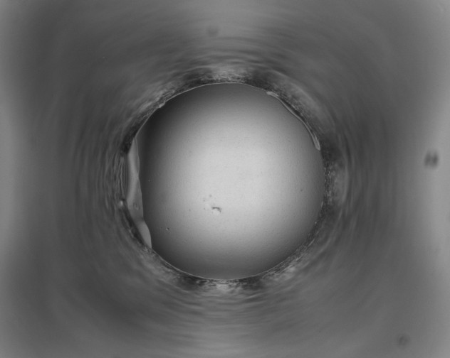 X0000096940329200802221326