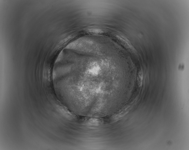 X0000096940330200802221326