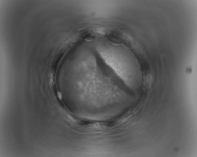 X0000096940331200802221326