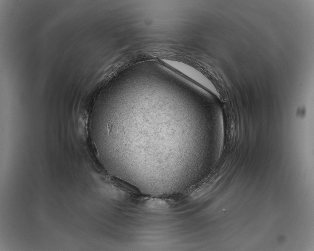 X0000096940332200802221326