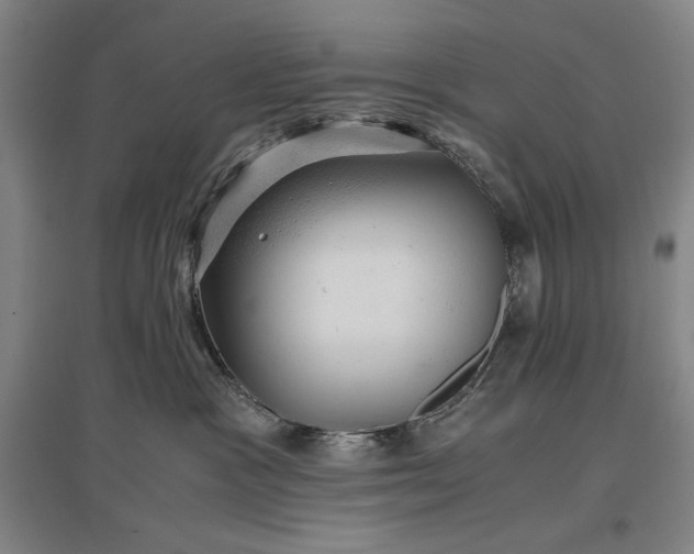 X0000096940333200802221326