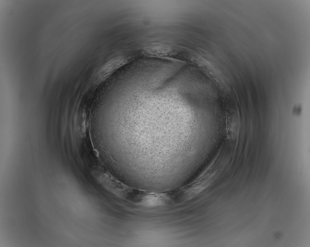 X0000096940334200802221326