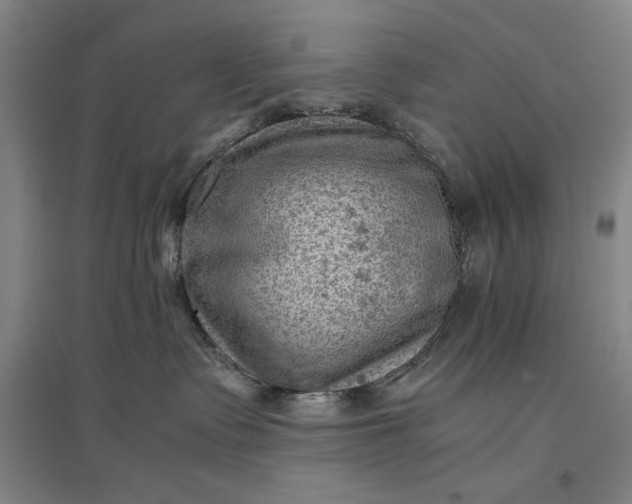 X0000096940335200802221326