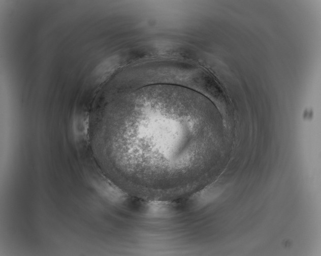 X0000096940336200802221325