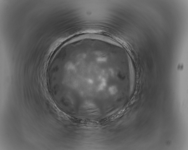 X0000096940337200802221325