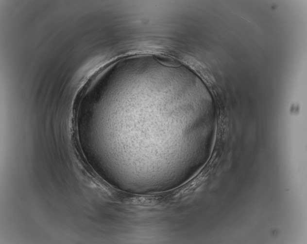 X0000096940338200802221325