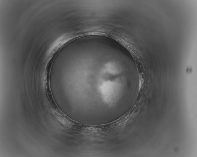 X0000096940339200802221325