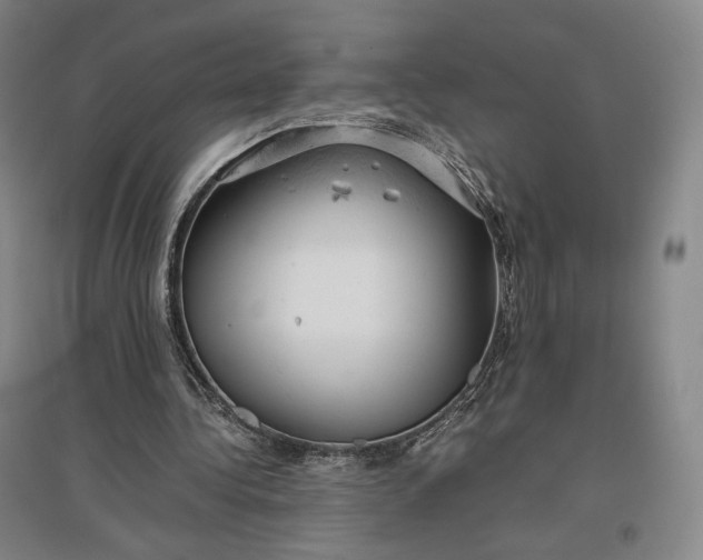 X0000096940340200802221325