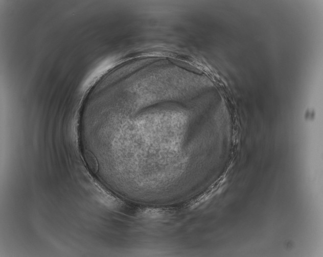 X0000096940341200802221325