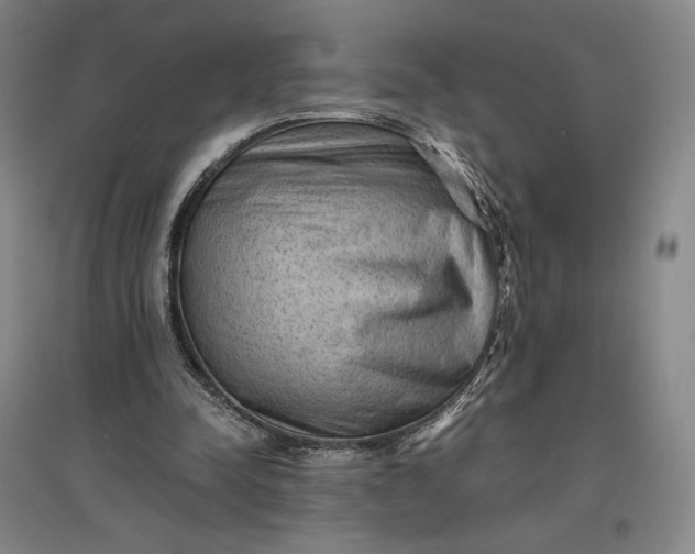 X0000096940342200802221325