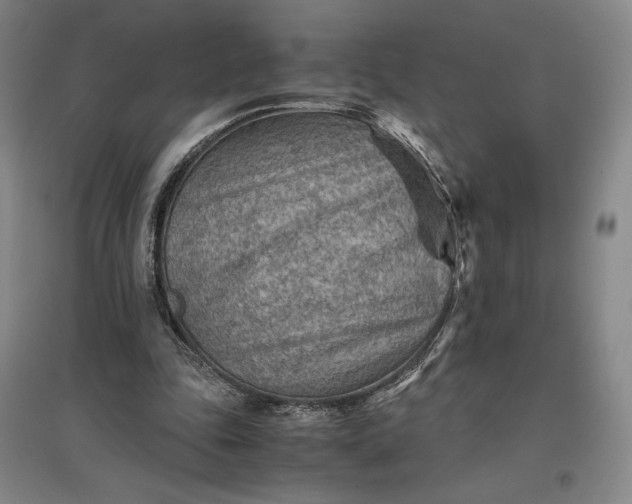 X0000096940343200802221325