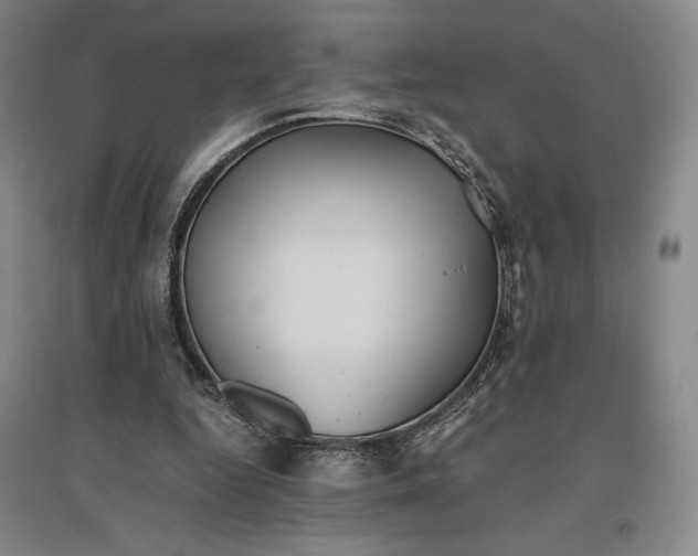 X0000096940344200802221325