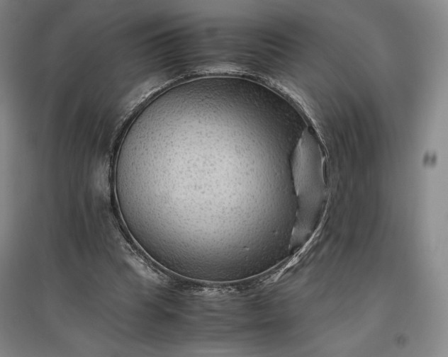 X0000096940345200802221325