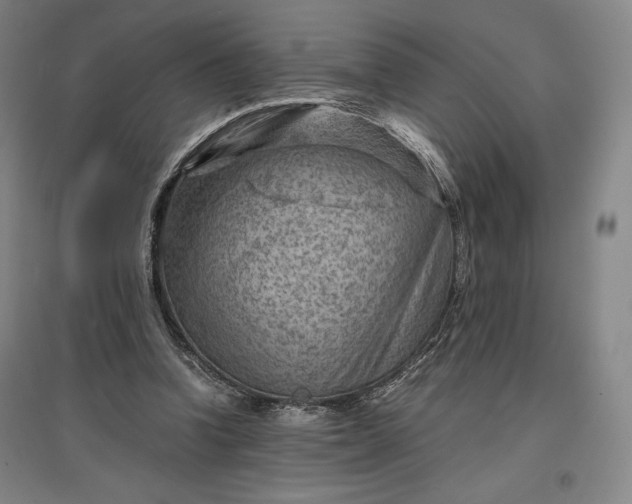 X0000096940346200802221325