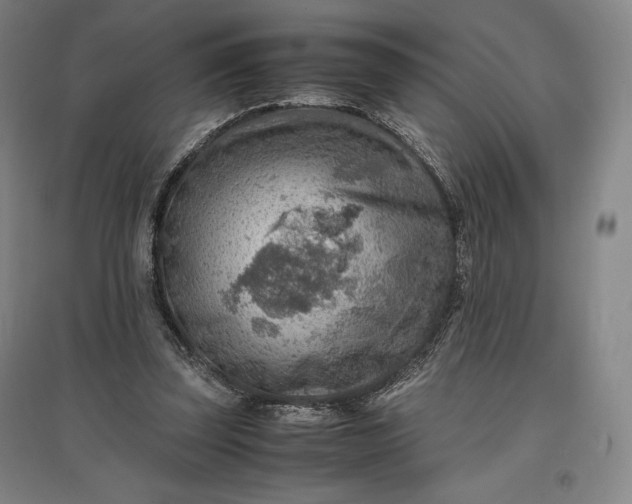 X0000096940347200802221325