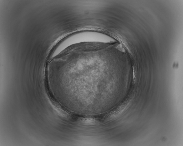 X0000096940348200802221325