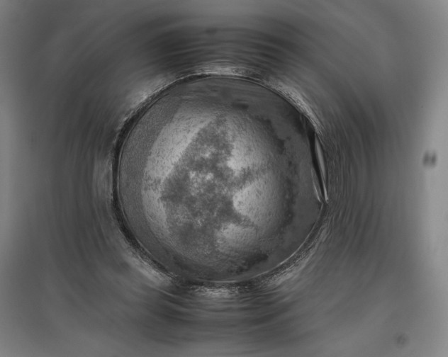 X0000096940349200802221325