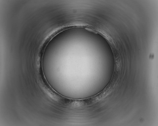 X0000096940350200802221325