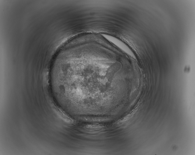 X0000096940351200802221325