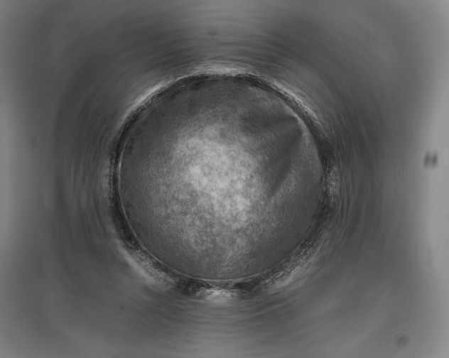 X0000096940352200802221325