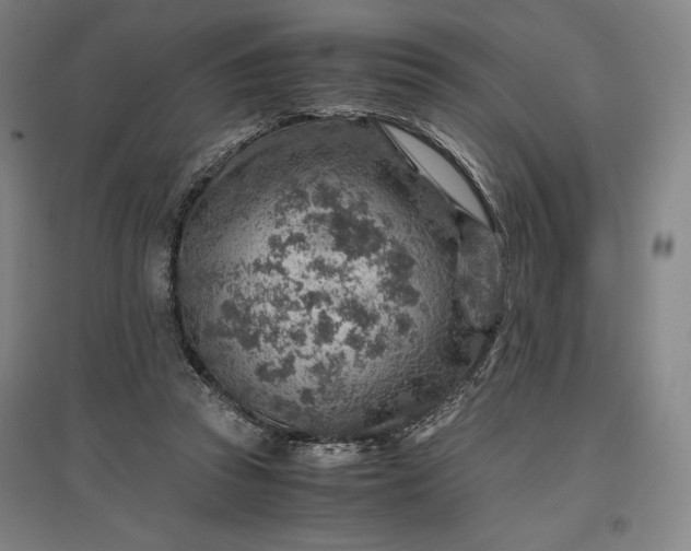 X0000096940353200802221325