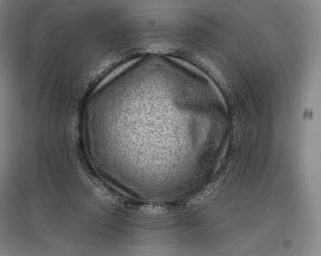 X0000096940354200802221325